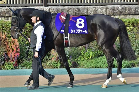 1990馬|1990年G1優勝馬一覧｜日本競馬G1ガイ